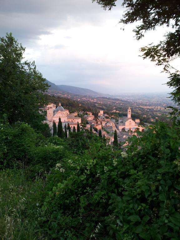 La Corte Degli Angeli Locazioni Turistiche Asyż Zewnętrze zdjęcie